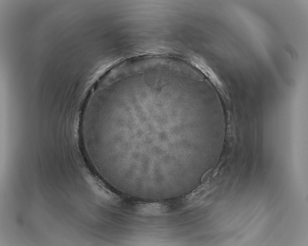 X0000110880058200906181234