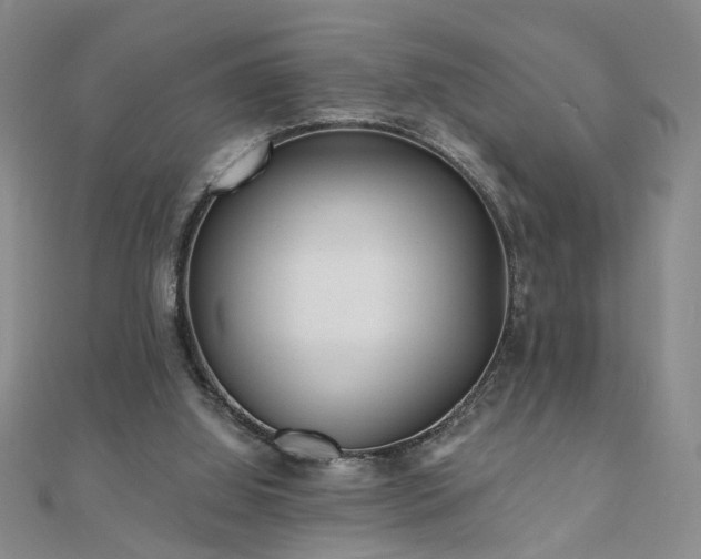 X0000110880060200906181234