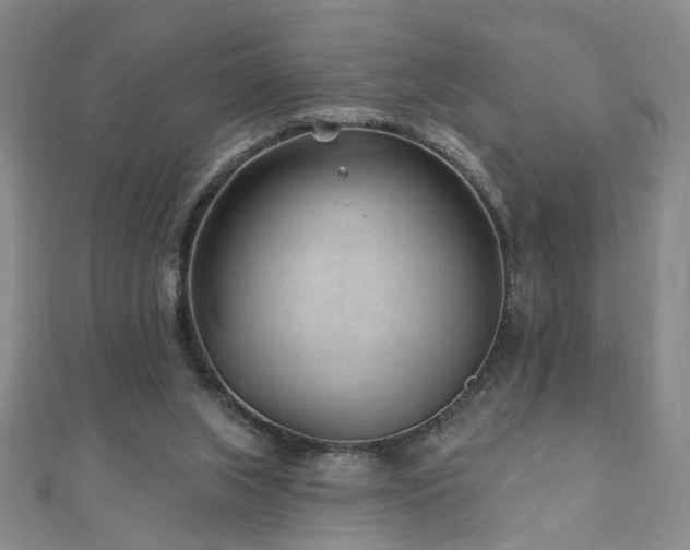 X0000110880063200906181234