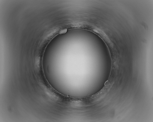 X0000110880066200906181234