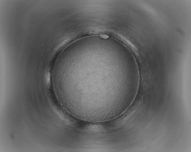 X0000110880067200906181234