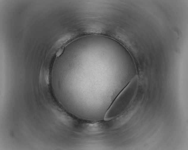X0000110880068200906181234