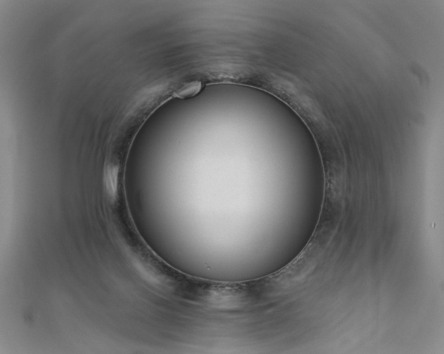 X0000110880070200906181234