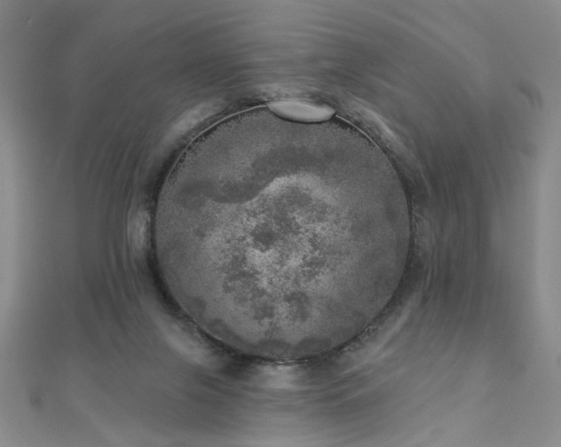 X0000110880071200906181234