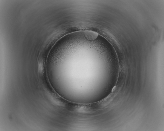 X0000110880074200906181234