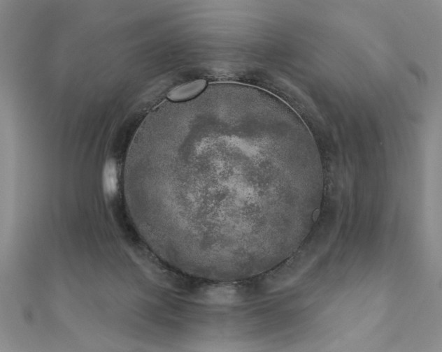 X0000110880075200906181234