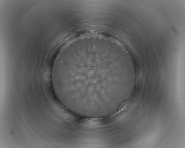 X0000110880078200906181234