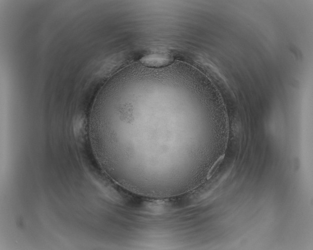 X0000110880079200906181234