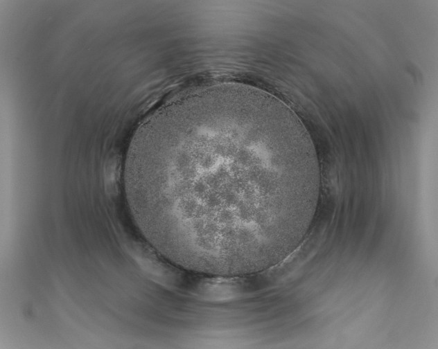X0000110880082200906181234