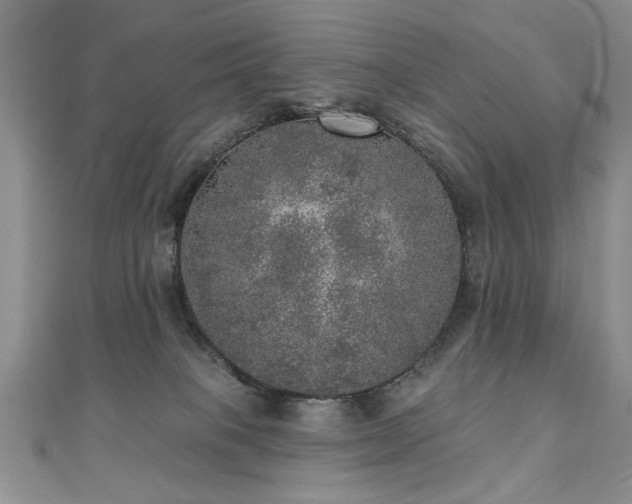 X0000110880085200906181234