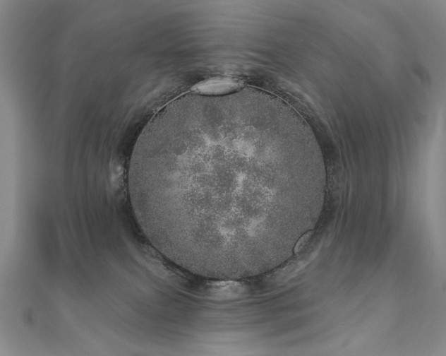 X0000110880087200906181234