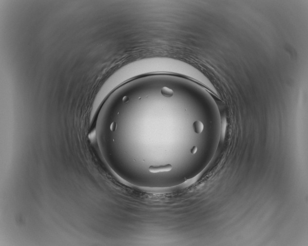 X0000110880088200906181234