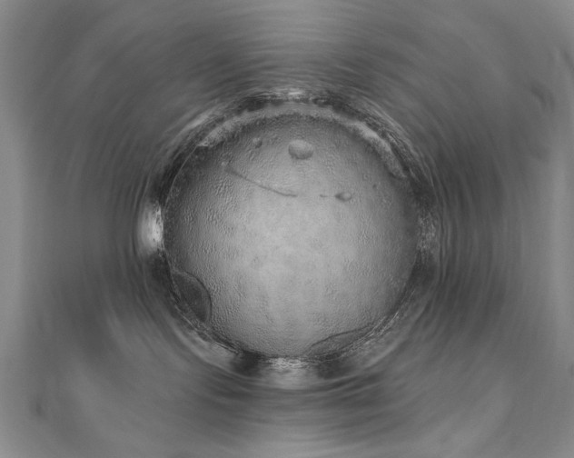 X0000110880095200906181234