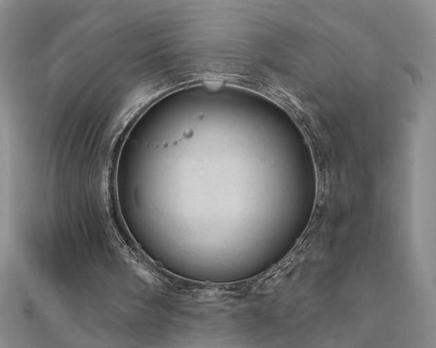 X0000110880098200906181233