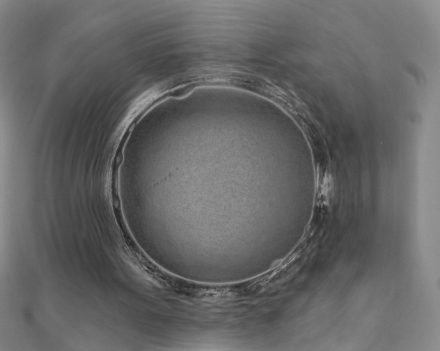 X0000110880099200906181233