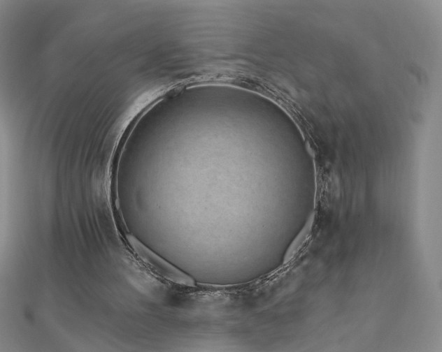 X0000110880100200906181233
