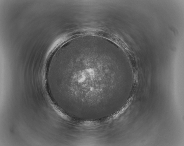 X0000110880101200906181233