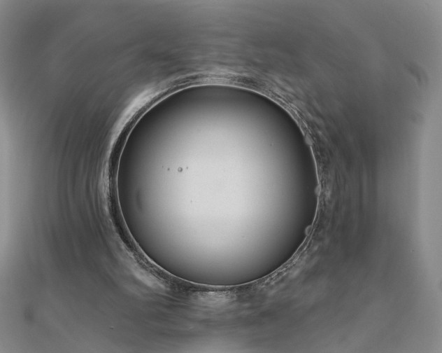 X0000110880102200906181233