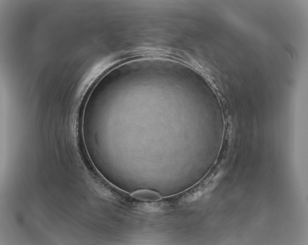 X0000110880103200906181233