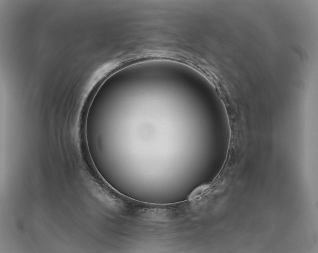X0000110880104200906181233