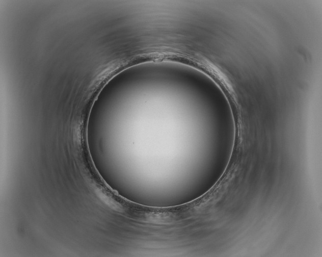 X0000110880105200906181233