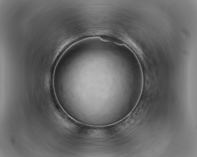 X0000110880107200906181233