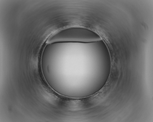 X0000110880108200906181233