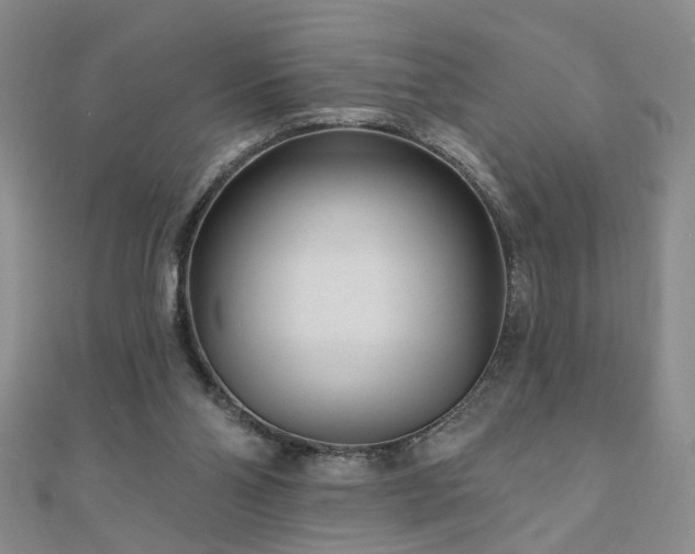 X0000110880110200906181233