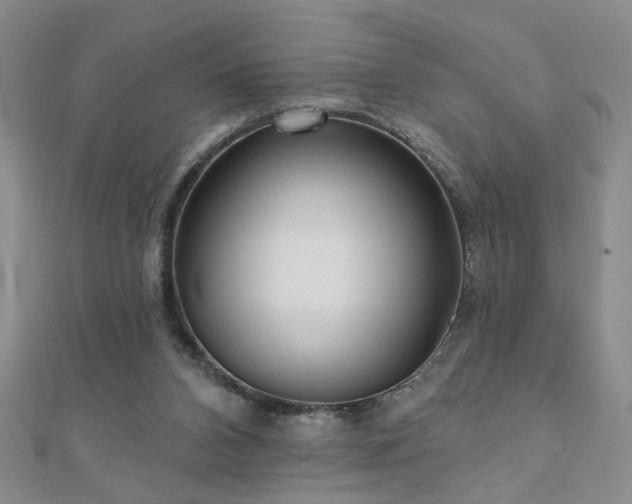 X0000110880112200906181233