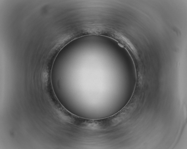 X0000110880113200906181233