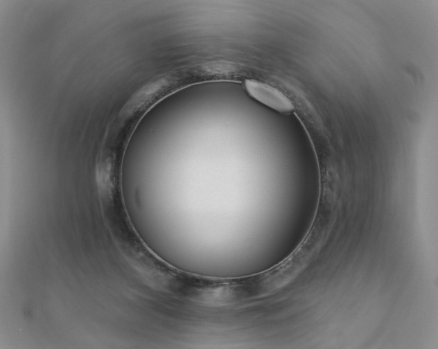 X0000110880116200906181233