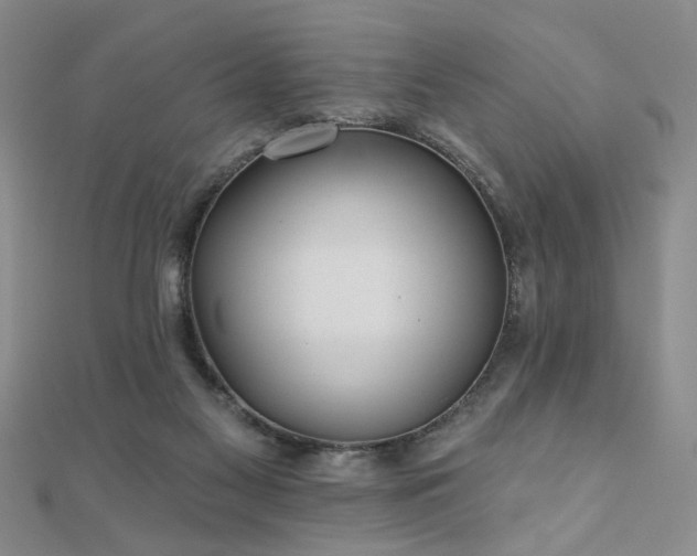 X0000110880117200906181233