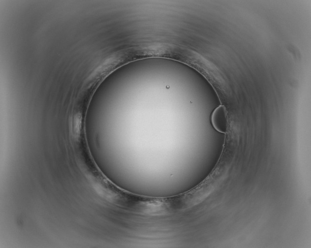 X0000110880118200906181233