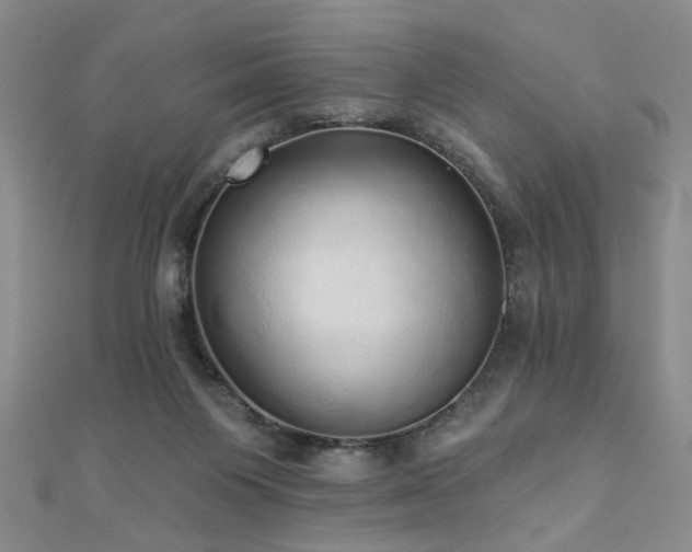 X0000110880119200906181233