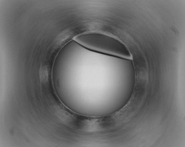X0000110880120200906181233