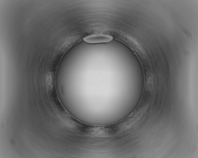 X0000110880121200906181233