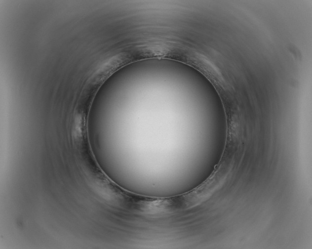 X0000110880122200906181233