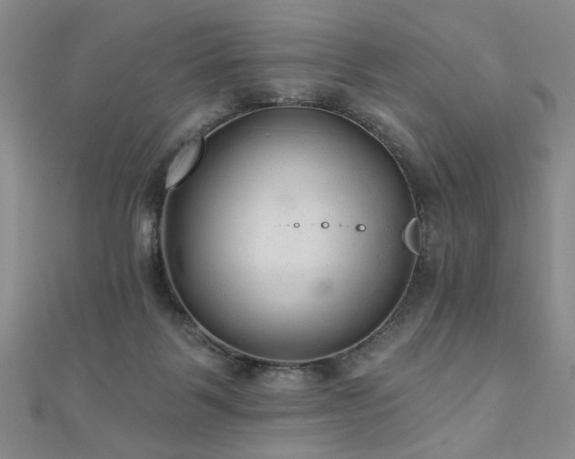 X0000110880123200906181233