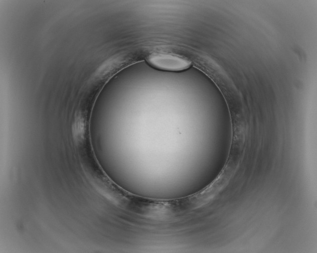 X0000110880124200906181233