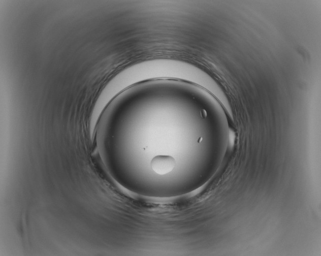 X0000110880125200906181233
