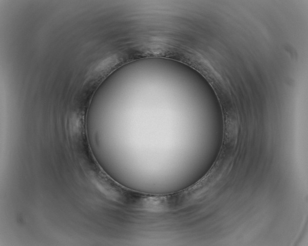 X0000110880126200906181233
