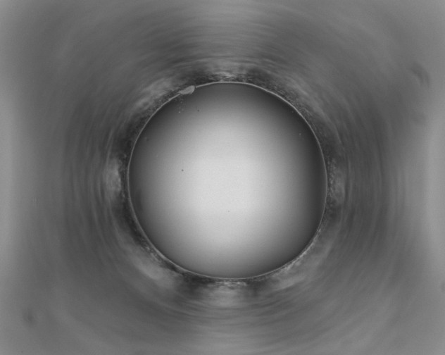X0000110880128200906181233