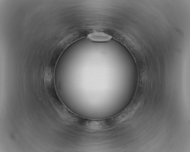 X0000110880129200906181233