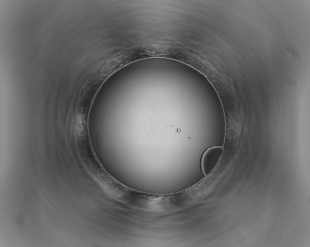 X0000110880130200906181233