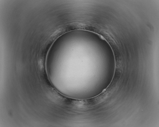 X0000110880131200906181233