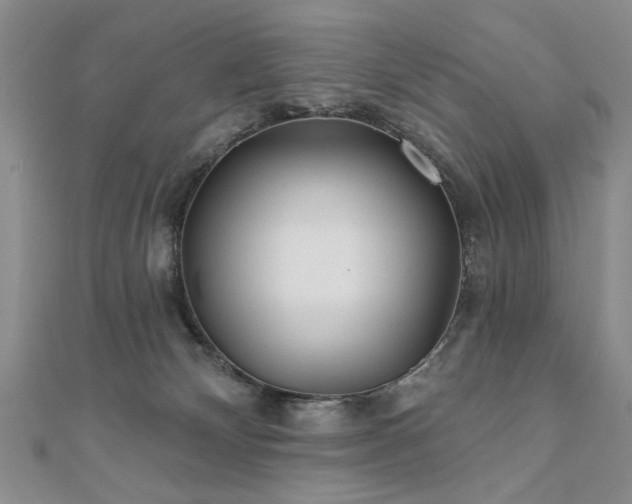 X0000110880132200906181233