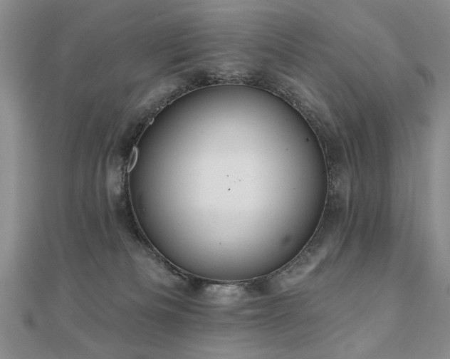 X0000110880133200906181233