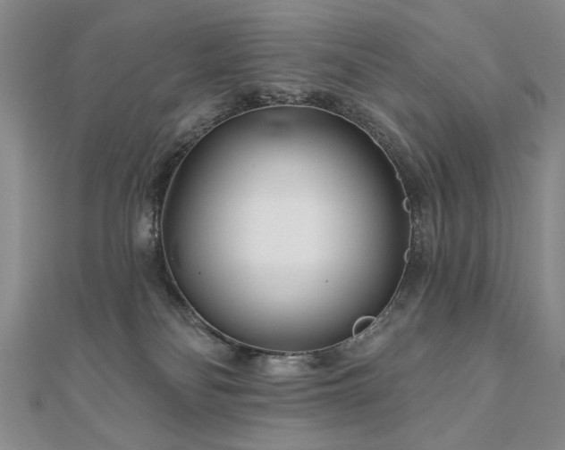 X0000110880134200906181233