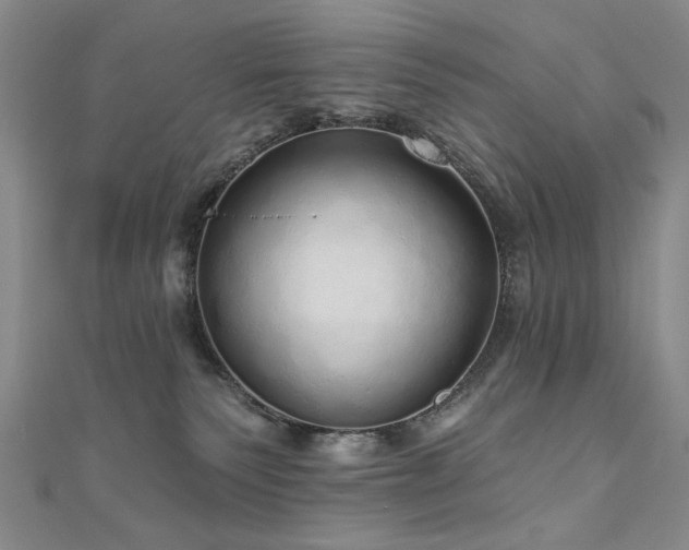 X0000110880135200906181233
