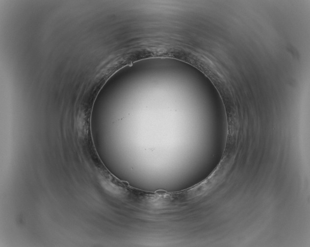 X0000110880136200906181233